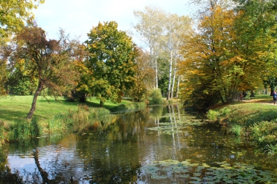 photo 877476