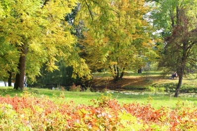 photo 877477