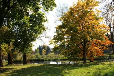 photo 877479