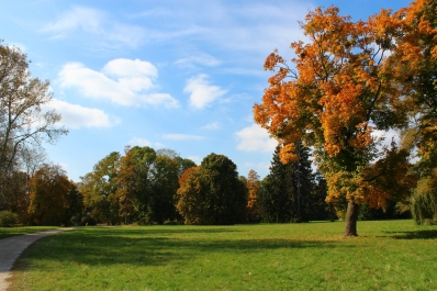 photo 877480