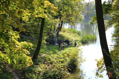 photo 877485