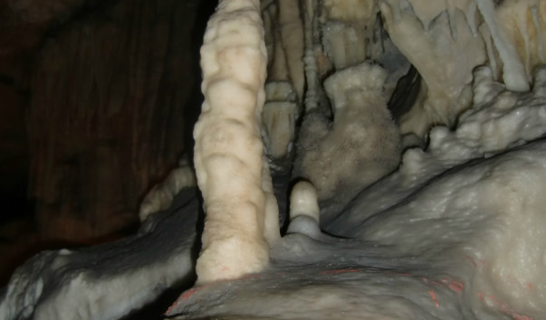 CIMG7166