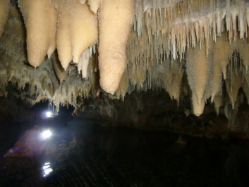photo 284856