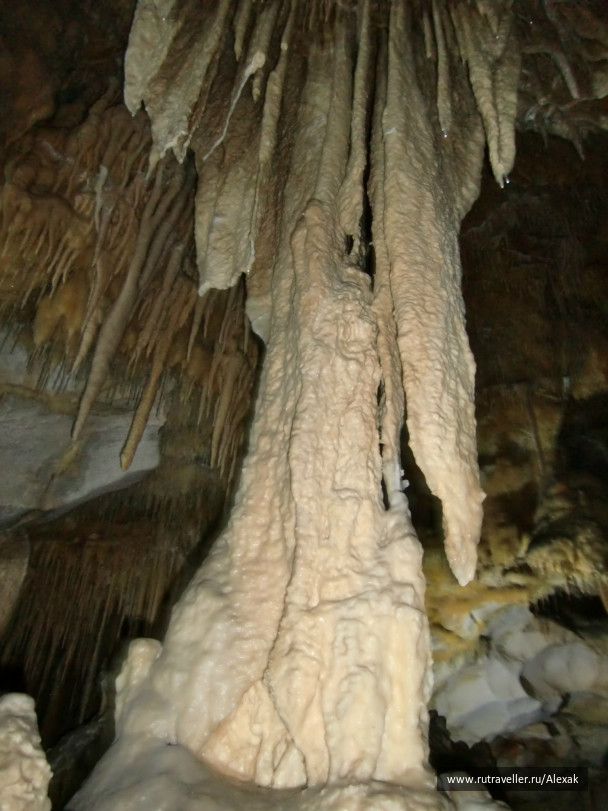 photo 284858