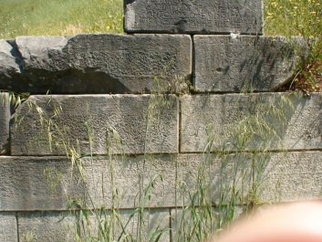 photo 285116