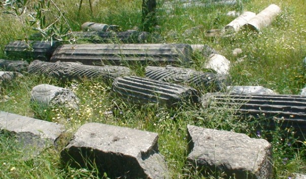 DSC00525