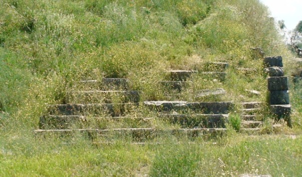 DSC00514