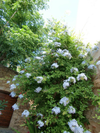 photo 289522