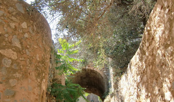 CIMG7539