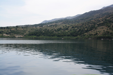 photo 369501