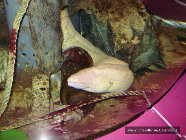 photo 500020