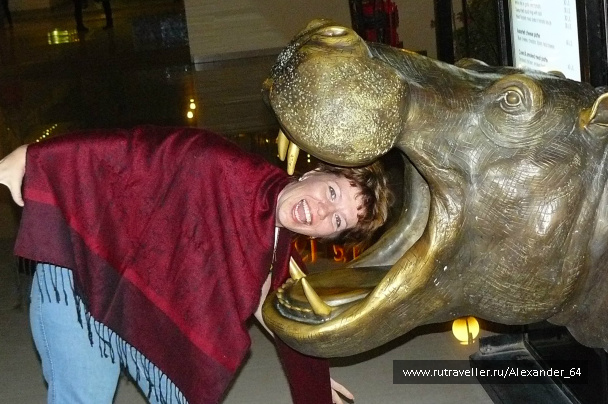 photo 223203