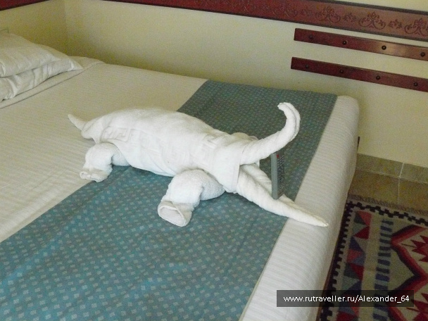 photo 223273
