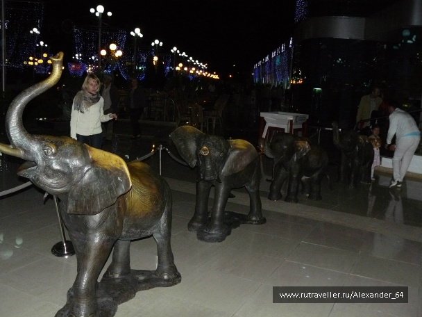 photo 223288