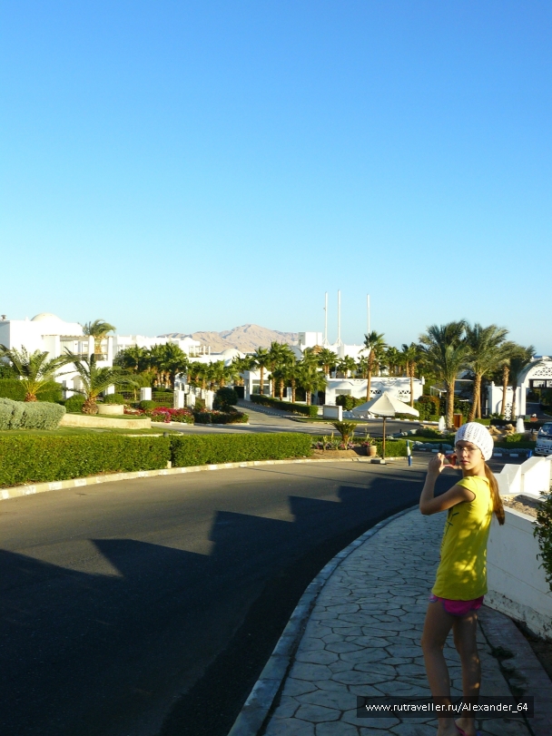 photo 223321