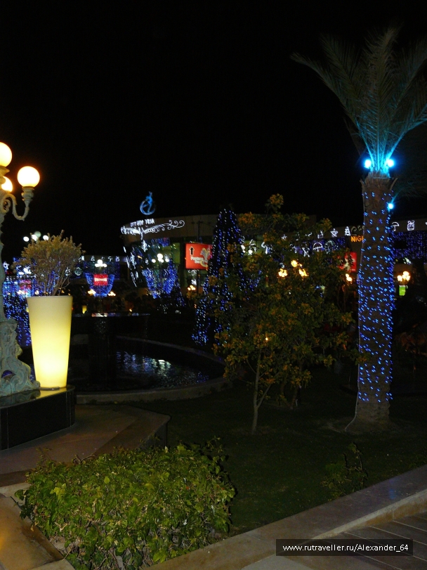 photo 223293