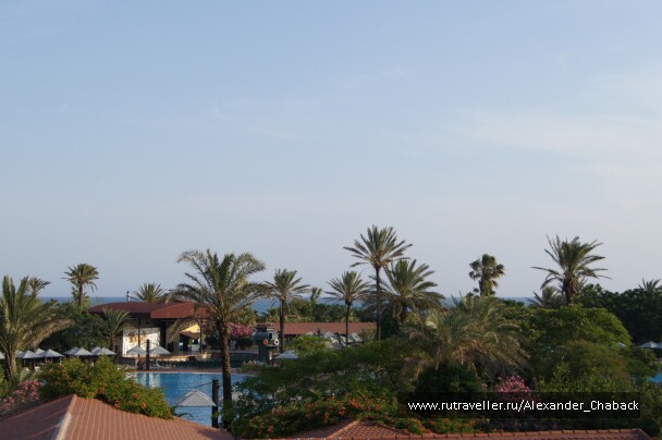 photo 15372