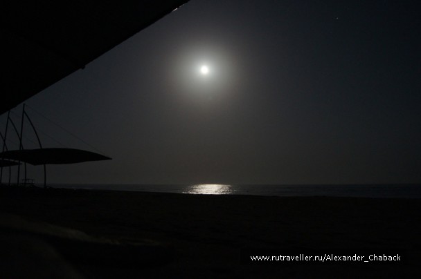 photo 15377