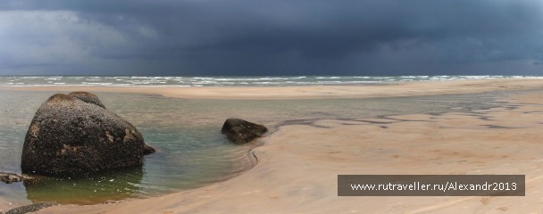 photo 251495