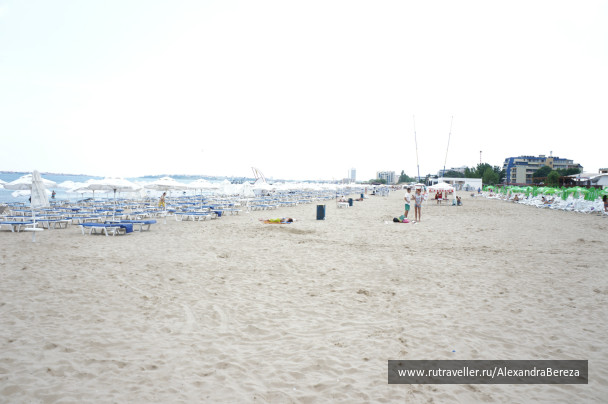 photo 409495