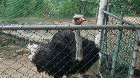 photo 1231493