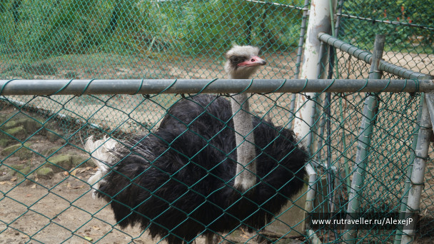 photo 1231493