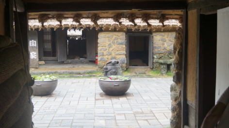 photo 1231495