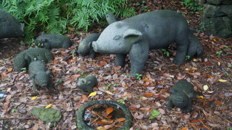 photo 1231496