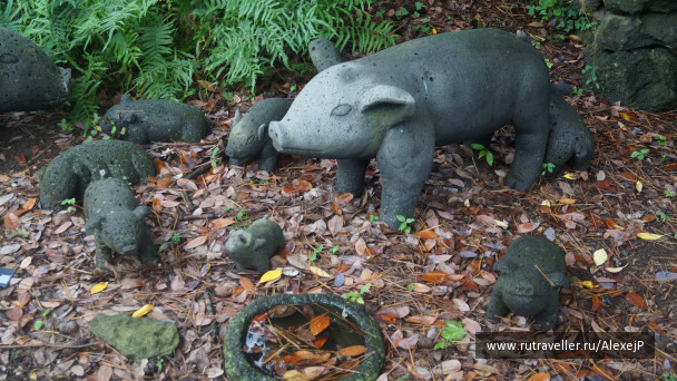 photo 1231496