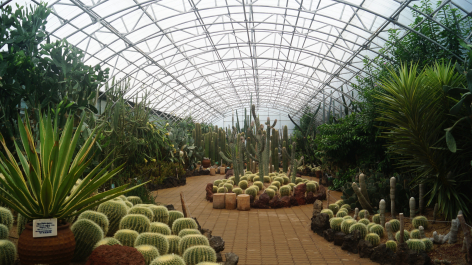 photo 1231498