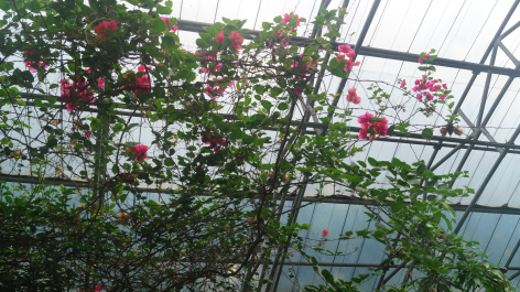 photo 1231499