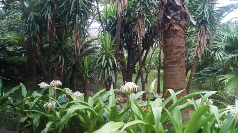 photo 1231501