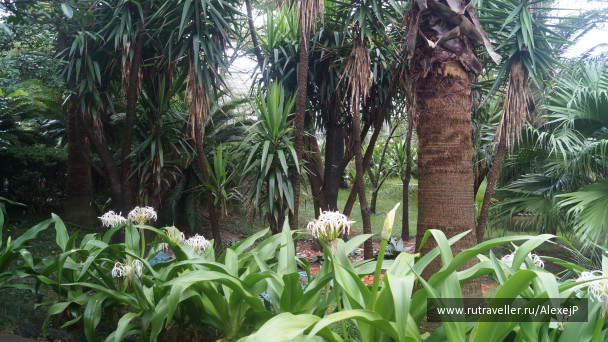 photo 1231501
