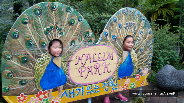 photo 1231502
