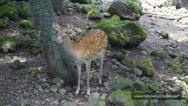 photo 1234757