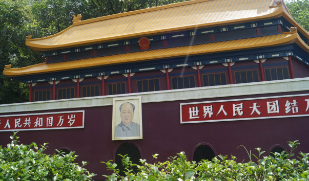 DSC07908