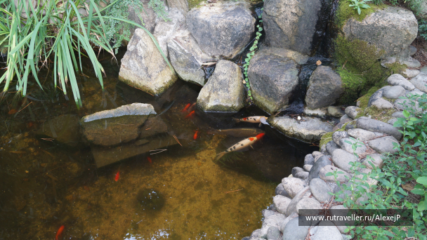 photo 1237225