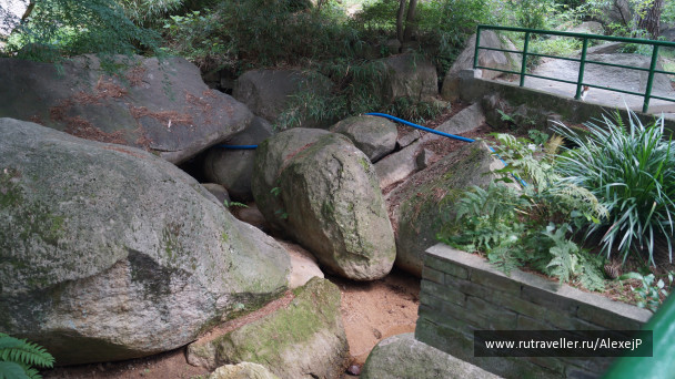 photo 1237227