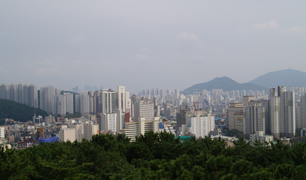 DSC08394