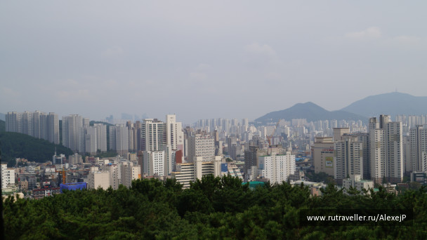 photo 1237238