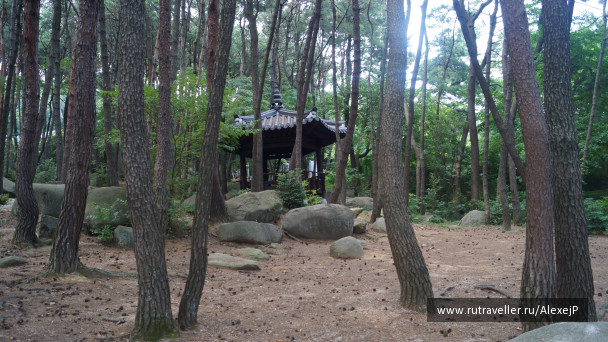 photo 1237243