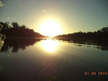 photo 731674