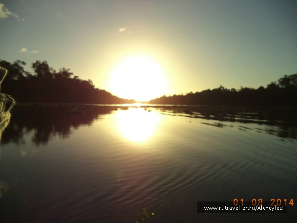 photo 731674