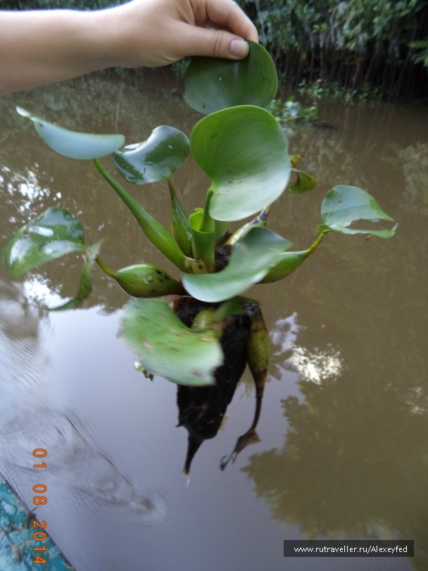photo 731675