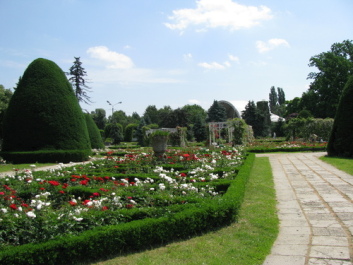 photo 154972