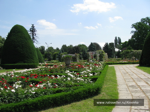 photo 154972