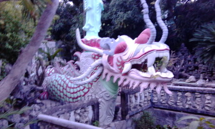 photo 1219499