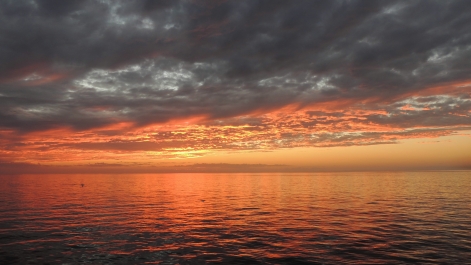 photo 1094783