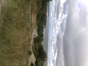 photo 215341