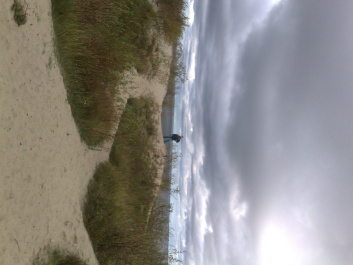 photo 215342